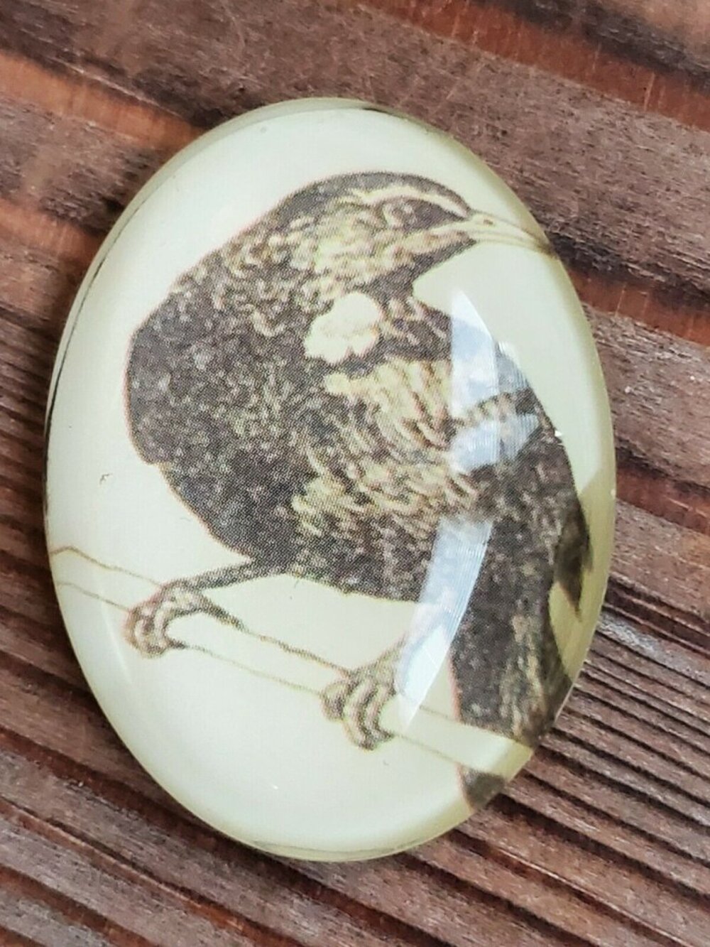 Edgar Allan Poe The Raven Victorian Gothic Bird Glass Oval Cabochon 40x30mm - Picture 3 of 10